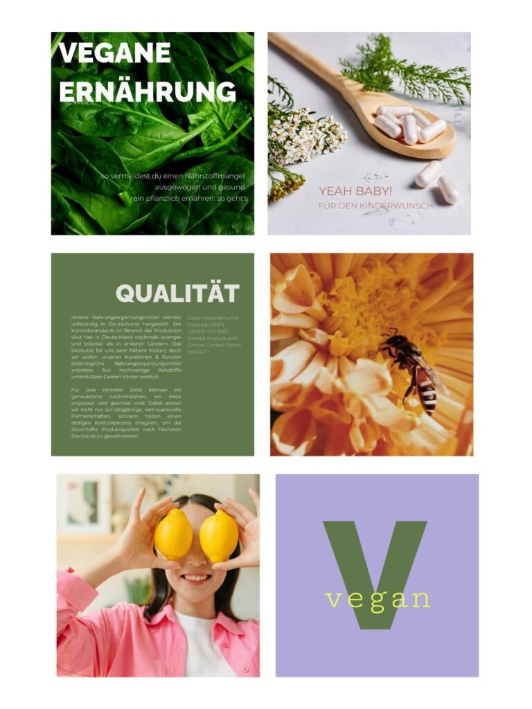 Branding Ergebnisse Brand Design und Feed Design sowie Social Media Look in bunten modernen Design Rebranding